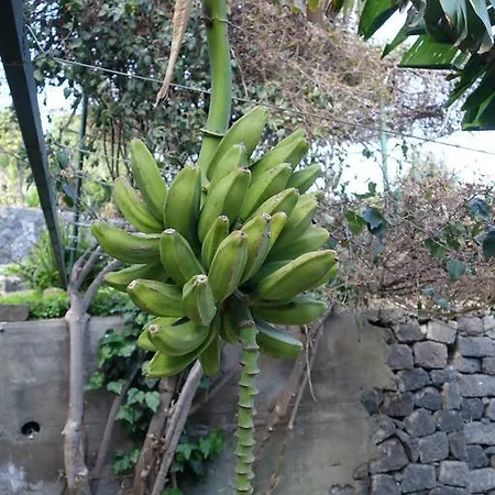 Tenuta Pennisi * Riposto