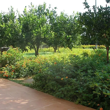 Tenuta Pennisi Riposto